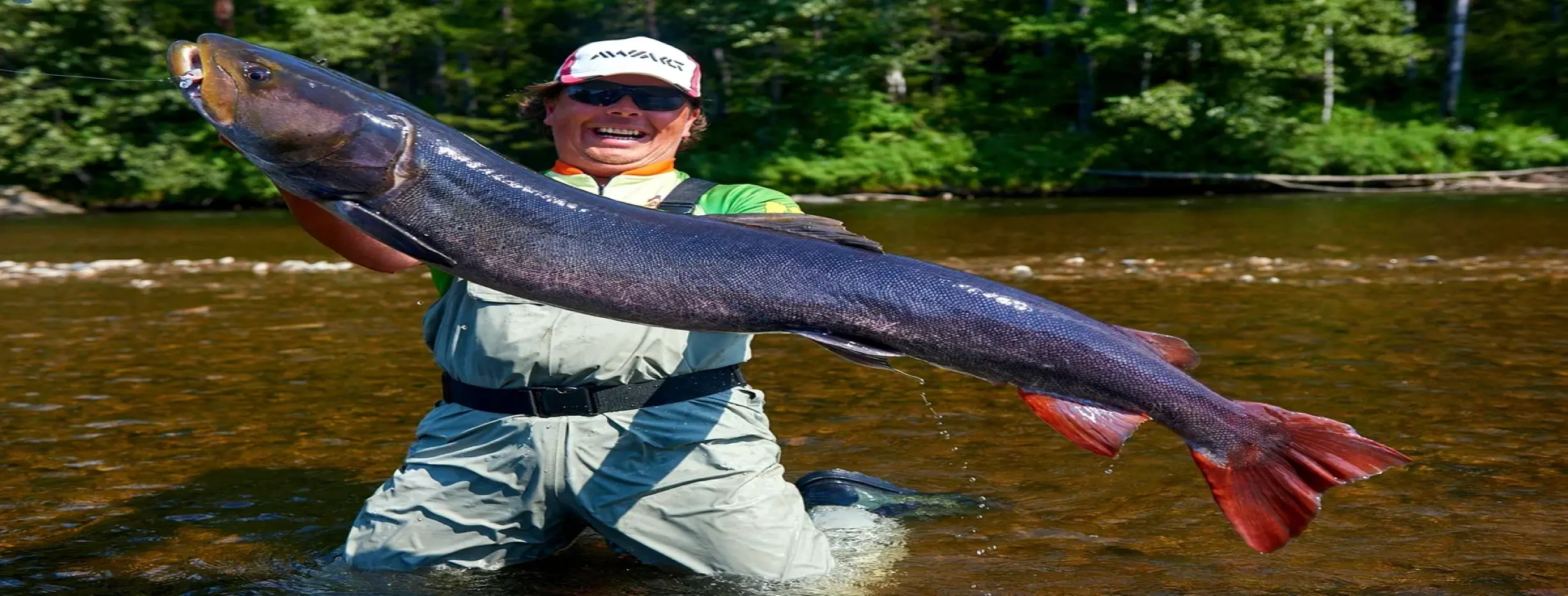 Image for Salmon Run Spectacle